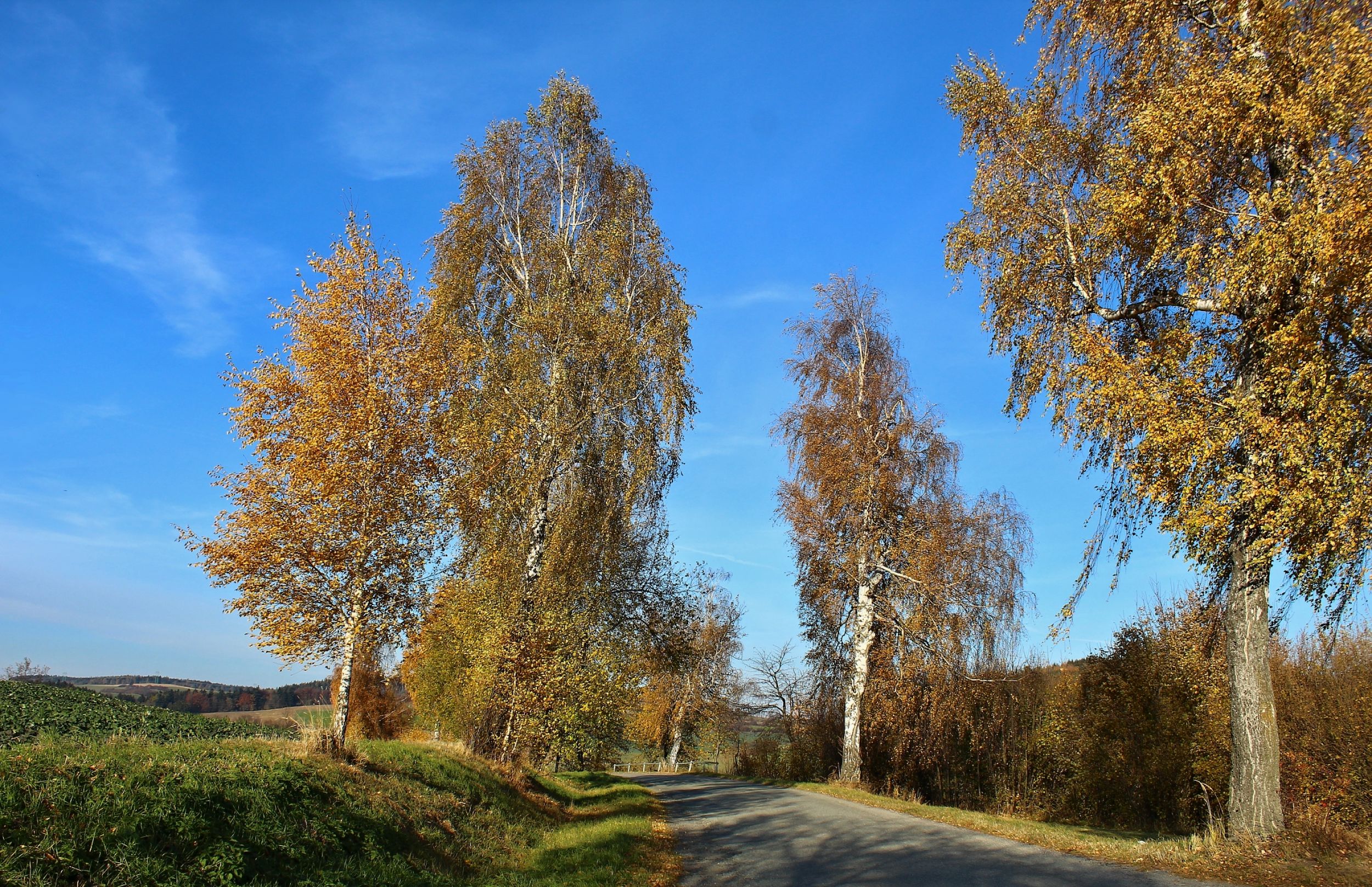 Cesta podzimem